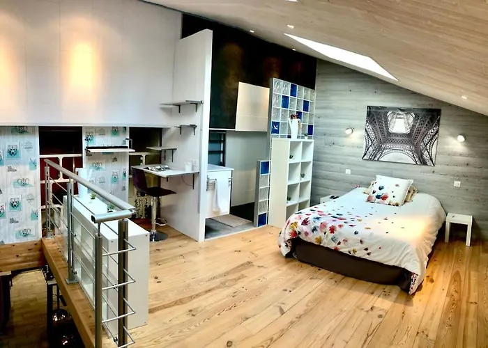 Duplex Atypique 20\' De Toulouse