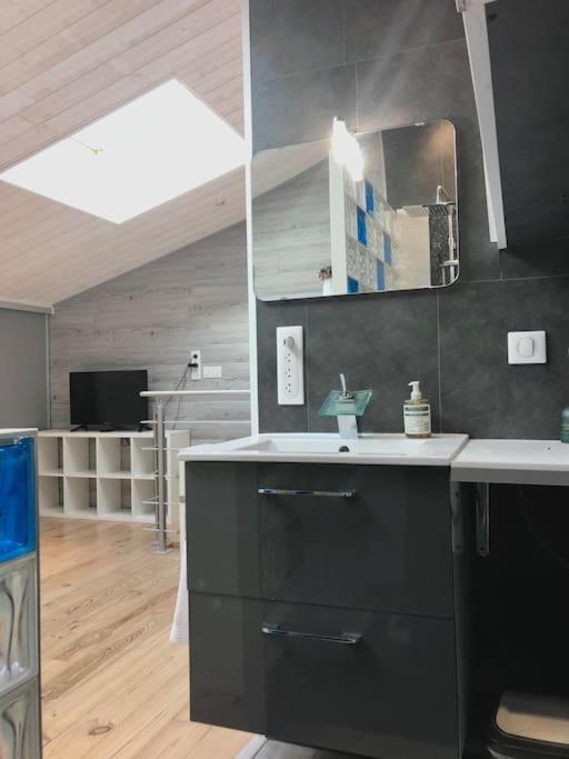 Duplex Atypique 20' De Toulouse *