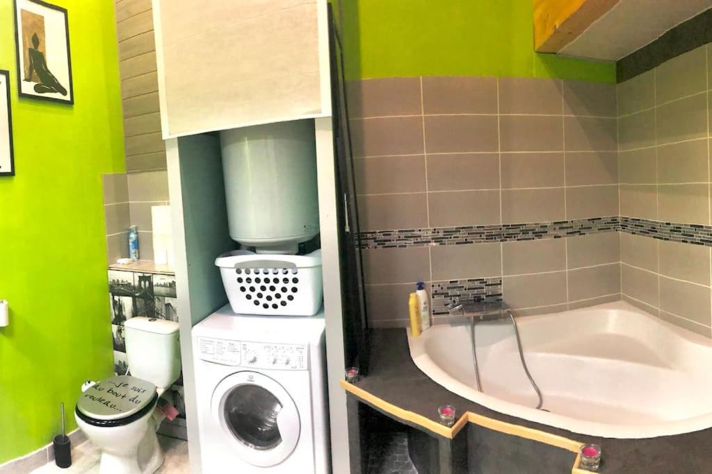 Apartment Duplex Atypique 20' De Toulouse *